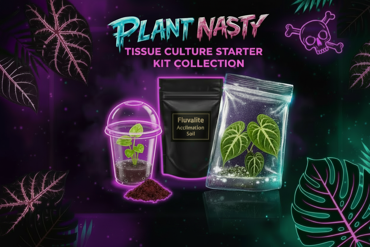 Starter Kits