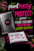 PlantNasty insulation and ice pack for tissue culture protection, keeping samples cool and insulated in warm weather.