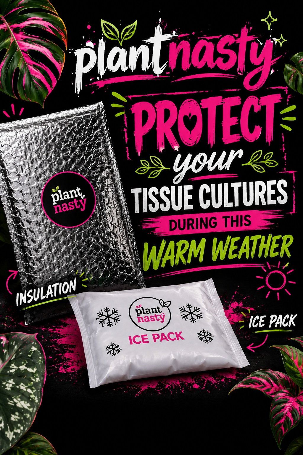 PlantNasty insulation and ice pack for tissue culture protection, keeping samples cool and insulated in warm weather.