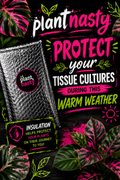 PlantNasty tissue culture insulation cover designed to protect tissue cultures from warm weather conditions.