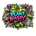 PlantNasty - Home