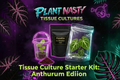 Plant Nasty Tissue Culture Starter Kit: Anthurium Edition